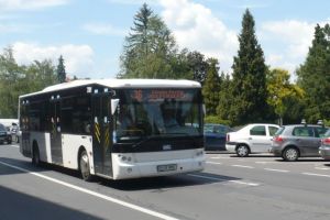 RATBV trece la programul de vară din 18 iunie. Ce linii sunt afectate