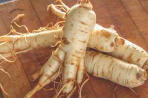 Rădăcina care FACE MINUNI asupra OMULUI. Oamenii erau DECAPITAȚI pentru ea