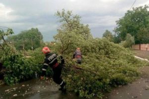 Vremea rea a făcut pagube în Harghita