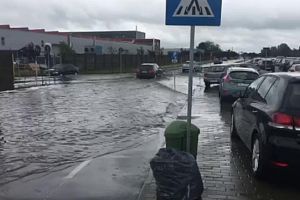 Inundatii si copac cazut pe sosea, in zona Lugojului