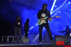 CHESTIONAR. Cine doriţi să cânte la Zilele oraşului Negreşti Oaş?