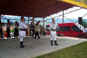 Artiştii din Topliţa şi împrejurimi invitaţii să participe la „ZILELE MUNICIPIULUI TOPLIȚA – EDIȚIA CENTENAR 2018”