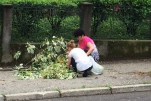 Cum au profitat piteştenii de pe urma vijeliei