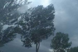 ALERTĂ METEO Cod portocaliu de ploi torenţiale, grindină şi vânt puternic
