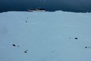 APOCALIPSA vine din Antarctica. ULTIMUL avertisment a DECLANȘAT ALARMA MONDIALĂ