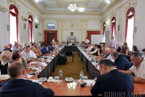 Pace la Consilul Judeţean: După ce au votat refacerea coaliţiei UDMR-PSD-ALDE, liberalii au votat 34 din 39 de proiecte ale puterii (FOTO)