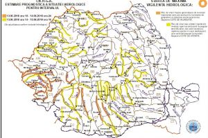 Cod galben în bazinul hidrografic al râului Trotuş