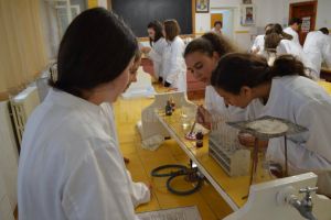 Trei elevi de la Colegiul Silvic Câmpulung Moldovenesc, premiaţi în cadrul unui concurs de chimie