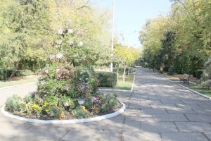 Începe amenajarea Parcului „Mihai Eminescu”: Planurile Primăriei Bârlad