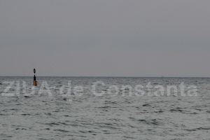 Profit.ro: Gazele naturale extrase din perimetrul offshore Neptun Deep din Marea Neagra ar putea asigura din 2022 jumatate din necesarul de consum al tarii vecine