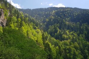 (Galerie foto) GURA ZLATA sau cum să te întorci acasă dacă nu ai bani de taxi