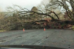 UPDATE/ DN75 blocat mai bine de două ore, între Vadu Moţilor şi Albac: Copac căzut pe carosabil si aluviuni aduse de un pârâu
