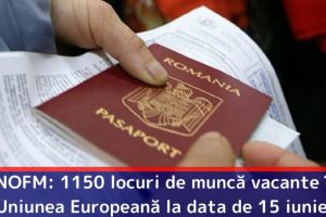 ANOFM: 1150 locuri de muncă vacante în Uniunea Europeană la data de 15 iunie