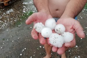 Culturi distruse: Grindina a făcut pagube enorme în mai multe localităţi din Bihor (FOTO/VIDEO)