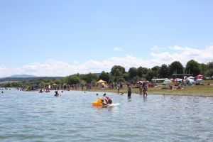 Transport gratuit Timisoara-Surduc, in weekend. Programul Zilelor Lacului Surduc