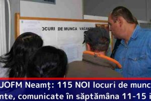 AJOFM Neamţ: 115 NOI locuri de muncă vacante, comunicate în săptămâna 11-15 iunie