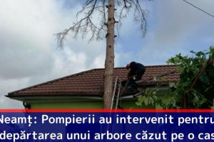 Neamţ: Pompierii au intervenit pentru îndepărtarea unui arbore căzut pe o casă
