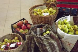 Copiii din şcolile sibiene vor primi mere şi pere din toamnă