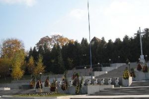 Dezbatere publică: “Dezvoltarea zonei Spitalului Judeţean de Urgenţă Mureş – zona străzii Gheorghe Marinescu – Parcul Eroilor”