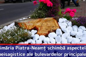 Primăria Piatra-Neamţ schimbă aspectele peisagistice ale bulevardelor principale
