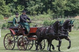 Olandezii lui Jack se menţin în top la dresaj şi prezentare. Urmează alte două probe