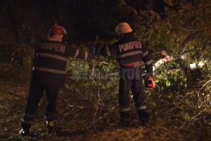 Case fără energie electrică şi copaci căzuţi, la Vatra Dornei şi Cârlibaba