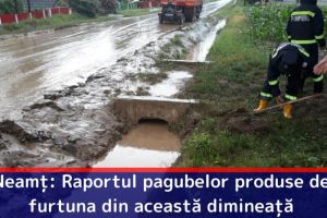 Neamţ: Raportul pagubelor produse de furtuna din această dimineaţă