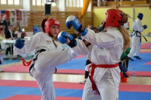 Regal al taekwon-do-ului, la Arena 