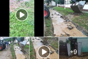 POTOP în Podgoria Aradului! Apa a făcut PRĂPĂD în gospodăriile oamenilor (FOTO + VIDEO)