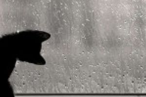 Luna codurilor galbene?! Meteorologii au emis o nouă atenţionare pentru judeţul Caraş-Severin