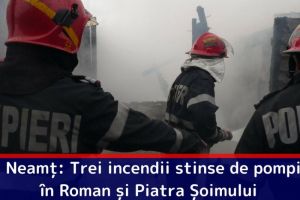 ISU Neamţ: Trei incendii stinse de pompieri în Roman şi Piatra Șoimului