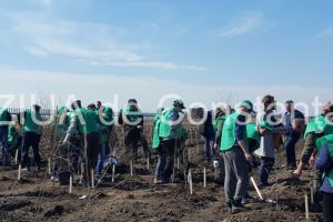 Ziua de 17 iunie a fost declarata Ziua mondiala pentru combaterea desertificarii si a secetei 