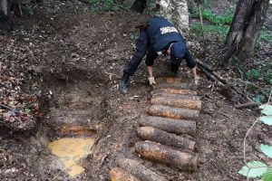 Depozit de proiectile de 150 mm, descoperit de căutatorii de comori