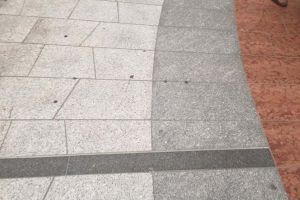 Rumegători de Oradea: Zona centrală a oraşului este pavată cu gumele de mestecat ale needucaţilor