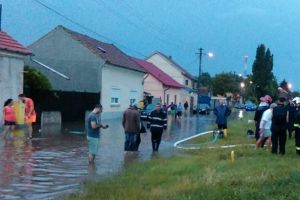 PRĂPĂD în Arad: Străzi INUNDATE, copaci DOBORÂŢI! Intervine Inspectoratul pentru Situaţii de Urgenţă