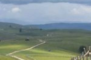 Satul din Alba care a răzbit în istorie prin hărnicia şi dragostea de pământ a locuitorilor săi