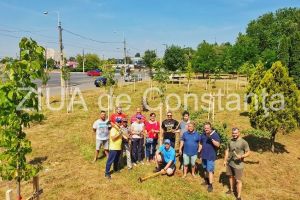 Impresionanta“ participare... virtuala la montarea tutorilor pentru copacii tineri. 26 de participanti si 43 interesati pe Facebook, iar in realitate, doar… 13