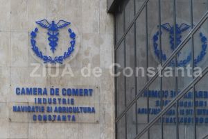 Eveniment de lansare a platformei Web MOWEUP, la Ruse: CCINA Constanta si Camera de Comert si Industrie Dobrich, parteneri in proiect