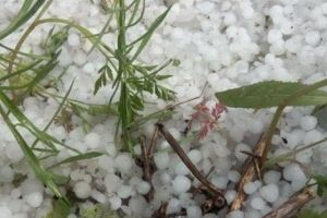 Avertizare de ploi şi grindină în cea mai mare parte a ţării