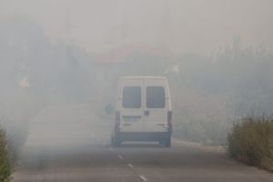 Cod galben de ceata in Timisoara si in judet: vizibilitate scazuta sub 200 de metri si izolat sub 50