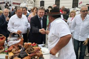 Muzica, dansul şi gastronomia din Bucovina au cucerit Viena