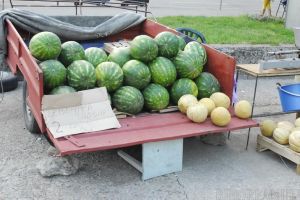 ADP Oradea scoate la licitaţie locurile de vânzare a pepenilor