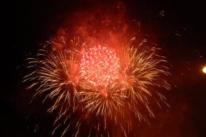 Cortină finală peste ediţia 2018 a FITS! Stage Dogs – un spectacol de excepţie în ultima zi!