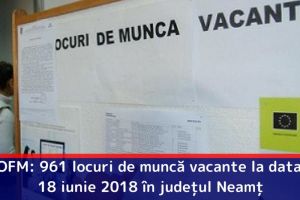 AJOFM: 961 locuri de muncă vacante la data de 18 iunie 2018 în judeţul Neamţ