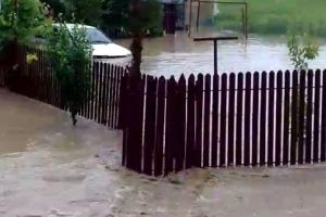 Pentru că este plin de deşeuri din construcţii – Pârâul Budeasa Mică a inundat curţile oamenilor