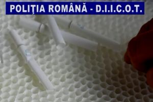 Grupare specializată în traficul cu ţigări, destructurată de oamenii legii