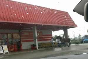 FOTO ȘTIREA TA: Prea fain, prea ca la… Alba Iulia: în zona unui supermarket, calul se priponeşte lângă biciclete