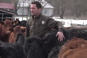 Un fermier din Alba a renunţat la vacile de lapte şi creşte exemplare cunoscute pentru carnea fragedă şi foarte căutată