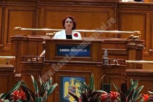 Agenda parlamentară: Claudia Gilia (PSD) – Violenţa domestică este ”cancerul” societăţii în care trăim