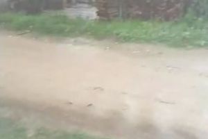 VIDEO. Drum de pământ, inundat la Pianu de Jos după o ploaie torenţială